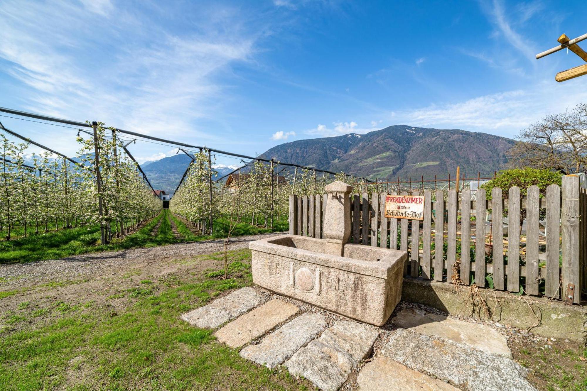Rosa Unterschoeberlehof - Gloria Apartment Merano
